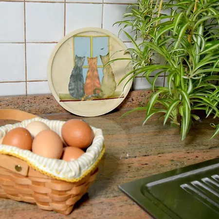 Romantic Hamlet Cottage With Private Pool La Fragua De Eliseo Holiday home Candelaria