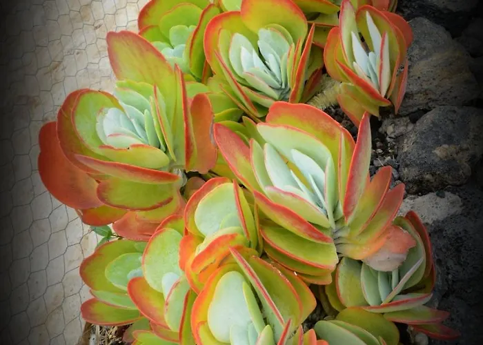 Romantic Hamlet With Private Pool La Fragua De Eliseo カンデラリア