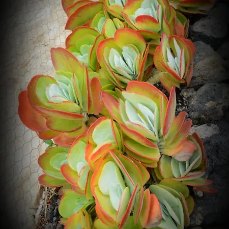 Romantic Hamlet With Private Pool La Fragua De Eliseo Candelaria